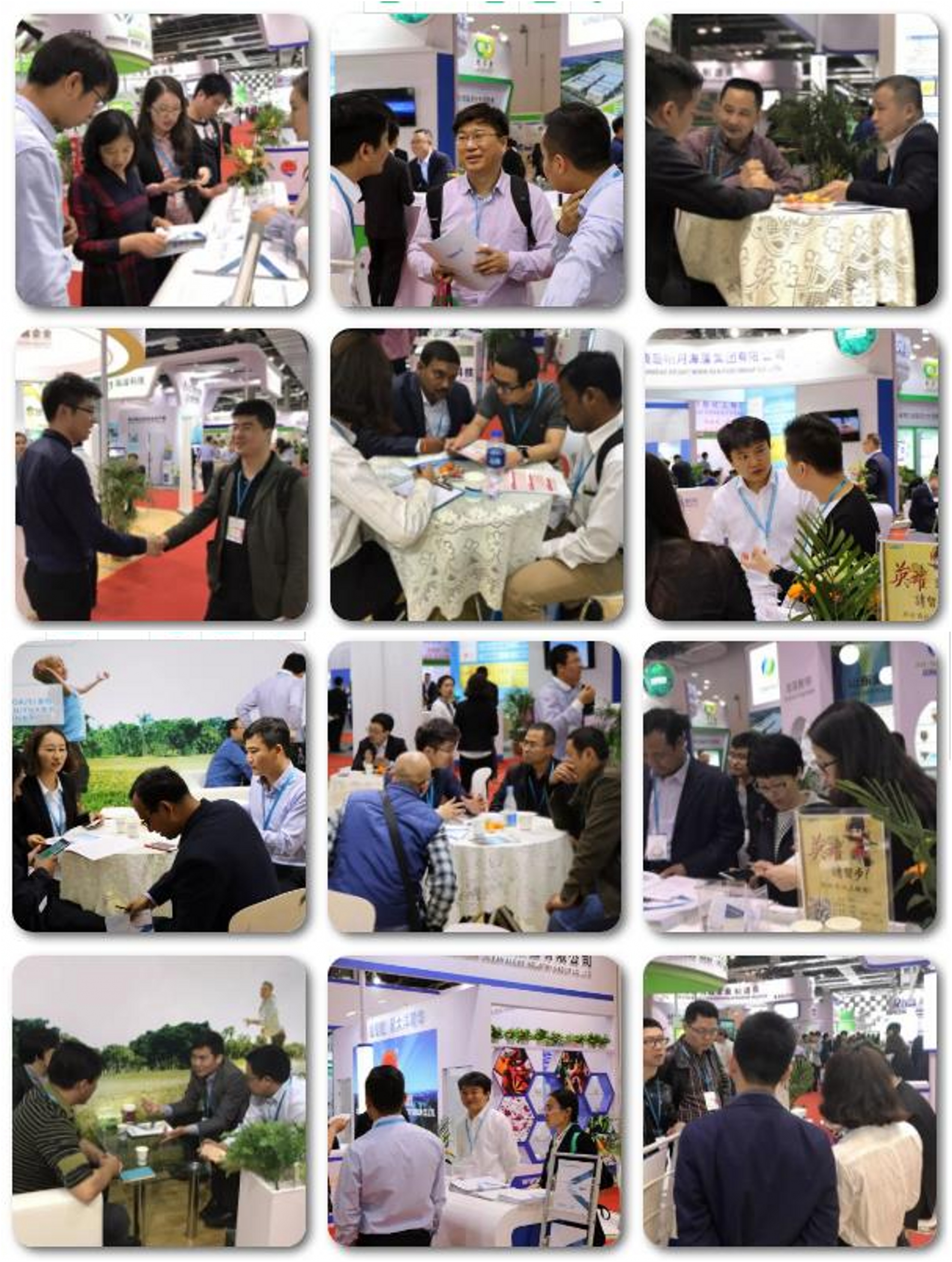 Stake(中国区)官方网站